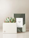 3. זה הזמן שלך לצמוח, בהצלחה!