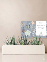 10. שתתקו שרשים ותצמחו בביתיכם החדש!