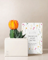 כתום / 1. זה היום שלך לפרוח, יום הולדת שמח