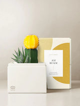 13. לראות את ההשקעה הופכת לצמיחה מברכת כל הכבוד!